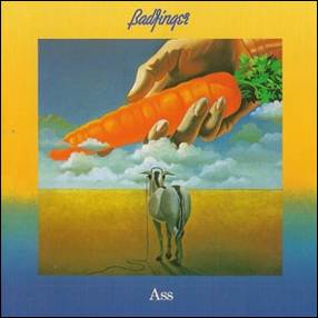 A hand holding a carrot
Description automatically generated