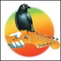 A bird on a guitar

Description automatically generated