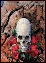 A skull with roses on a rock

Description automatically generated