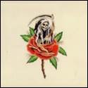 A skeleton holding a scythe in a rose

Description automatically generated