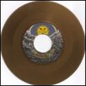 A brown vinyl record with a yellow sun and mountains

Description automatically generated