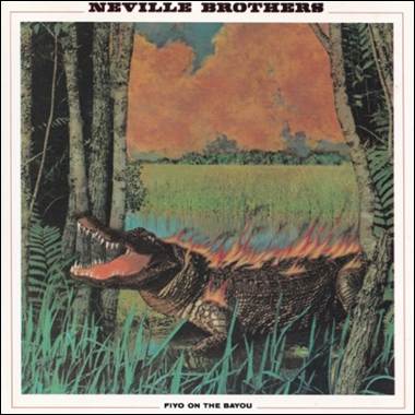 A crocodile on fire in the woods

Description automatically generated