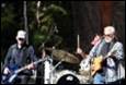 A group of men playing instruments

Description automatically generated with medium confidence