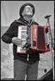 A person playing an accordion

Description automatically generated