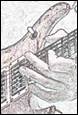 A close-up of a hand playing a guitar

Description automatically generated with medium confidence